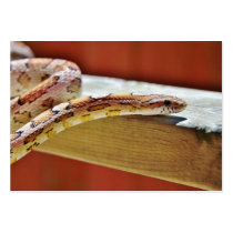Slithering Red Corn Snake Business Card