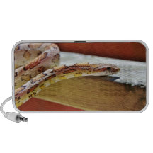 Slithering Red Corn Snake iPod Speakers