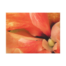 Slot Canyon Abstract Hibiscus Canvas Canvas Prints
