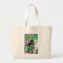 Sloth in tree Nicaragua Bag