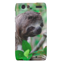 Sloth in tree Nicaragua Motorola Droid RAZR Cover