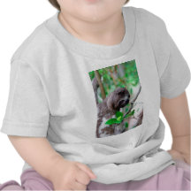 Sloth in tree Nicaragua Shirts