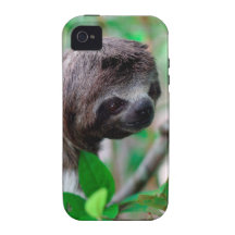 Sloth in tree Nicaragua Vibe iPhone 4 Covers