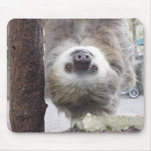 Sloth Mousepad