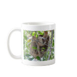 sloth mugs