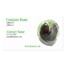 Sloth Photo Design Business Card