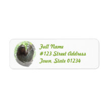 Sloth Return Address Mailing Label
