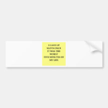 SLOTS.jpg Bumper Stickers
