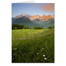 Slovenia Meadow Cards