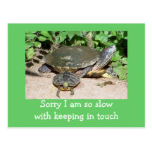 slow keeping in touch card post card
