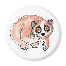 Slow Loris Magnet