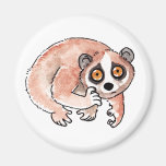 Slow Loris Magnet