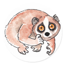 Slow Loris Stickers