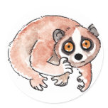 Slow Loris Stickers