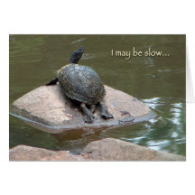 slow turtle birthday card