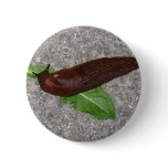 Slug buttons