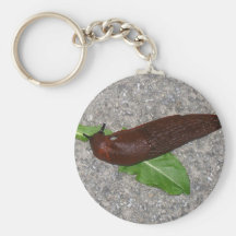 Slug Keychains
