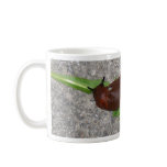 Slug mugs