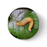 Slug on Leaf Button