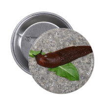 Slug Pinback Buttons