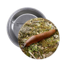 Slug Red Pinback Buttons