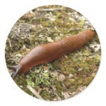 Slug Red stickers