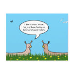 Sluggish Postcard