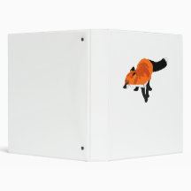 Sly Fox Binder