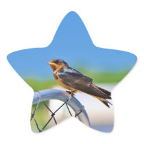 Small bird on a net