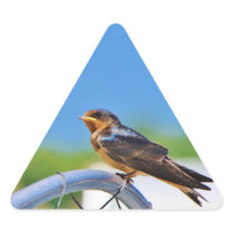 Small bird on a net