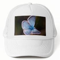 Small Blue Butterfly Baseball Hat