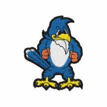 Small Blue Jay