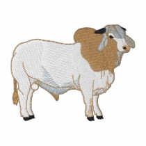 Small Brahman Embroidered Hoody