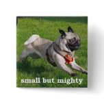 small but mighty buttons