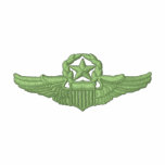 Small Command Pilot