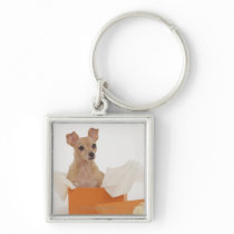 Small dog sitting in gift box keychains
