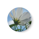 Small Flower Magnet