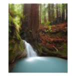 Small forest waterfall photographic print