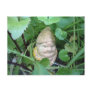Small Garden Gnome Post Cards