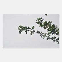 Small Green Leafy Branch against cloudy sky Rectangular Sticker