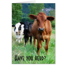 Small Herd of Three Cows Cards