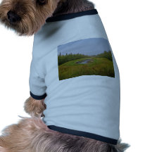 Small hidden lake on the Flats Pet Clothes