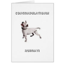 small logo, Congradulations!Hurray! Greeting Cards