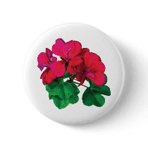 Small Magenta Geraniums