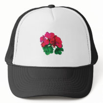 Small Magenta Geraniums
