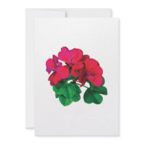 Small Magenta Geraniums