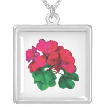 Small Magenta Geraniums
