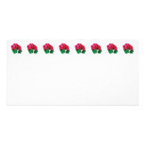 Small Magenta Geraniums