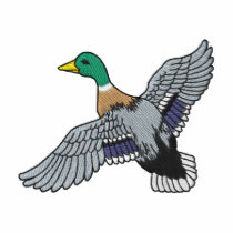 Small Mallard