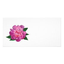 Small Pink Peony Photo Card